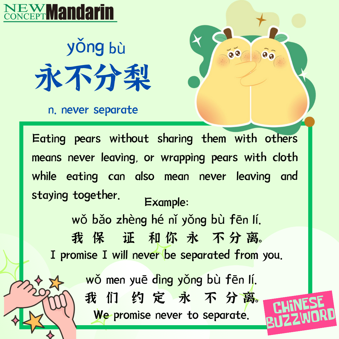 永不分梨 never separate 分梨 fēnlí, cut the pear into half, sounds the same as 分离 fēnlí, separation. Sharing a pear cut in half with others sometimes means be apart with somebody in Chinese.