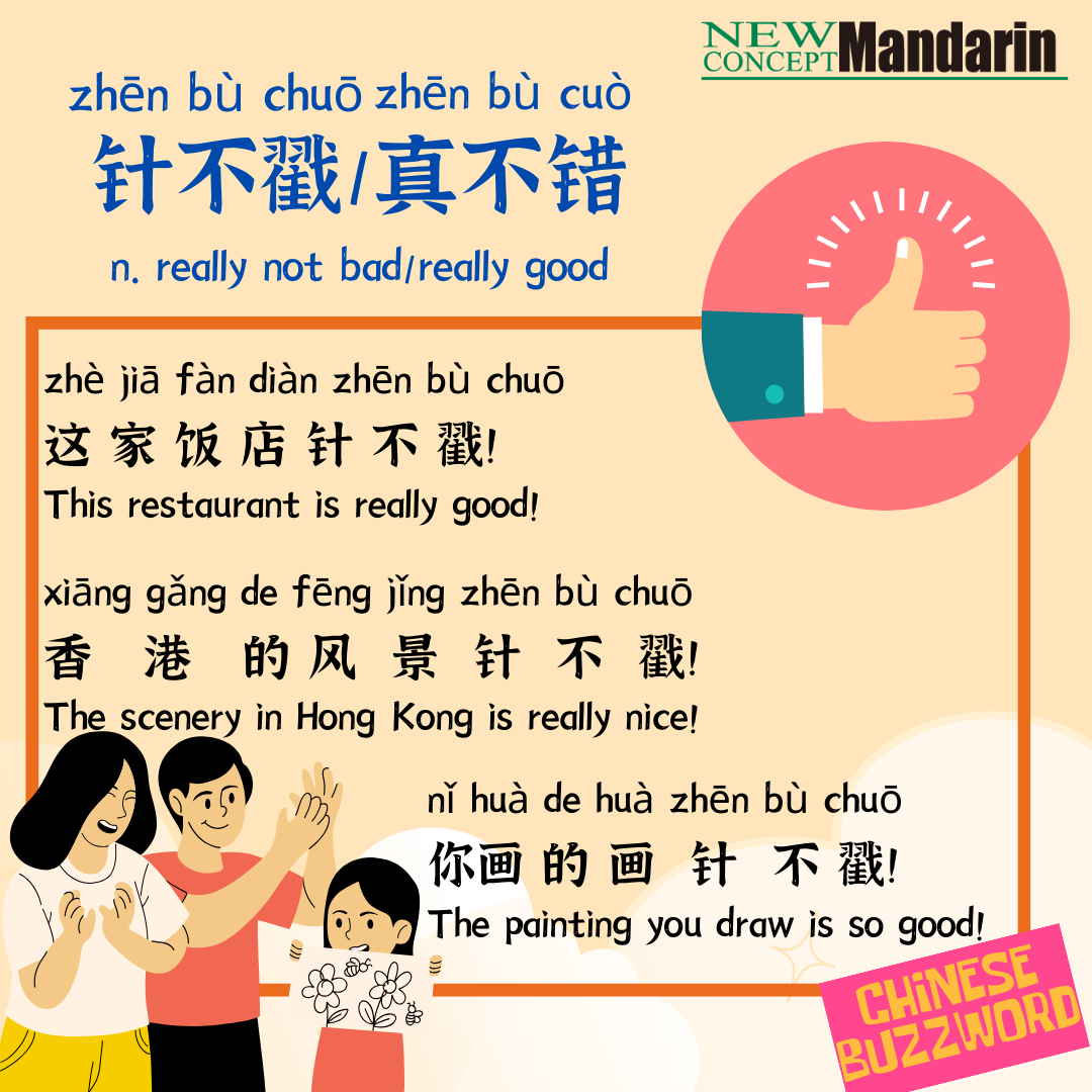 真不错; really not bad/really good So 针不戳zhē bu chuō becomes popular among young people to expeess 真不错zhēn bù cuò, means not bad.