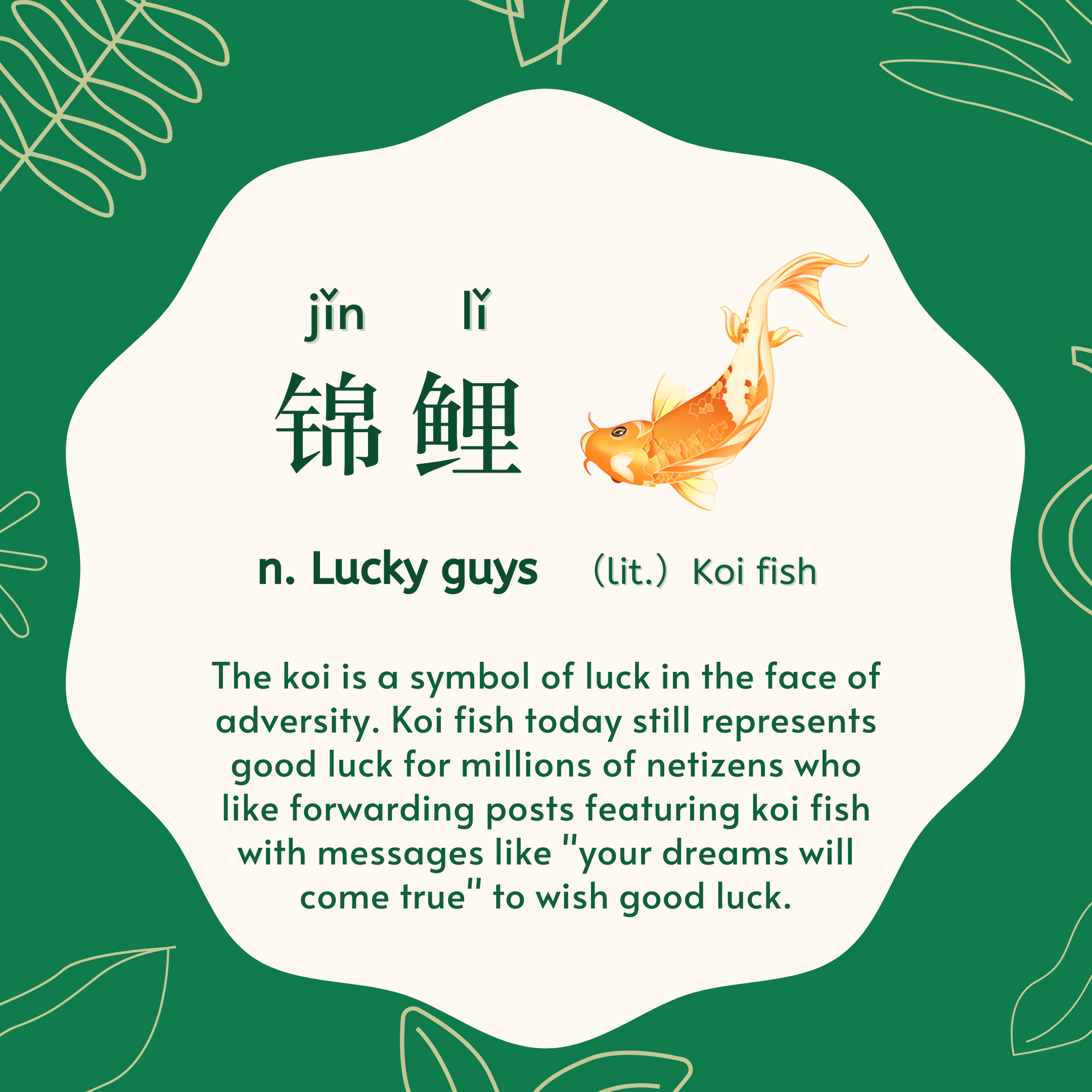 锦鲤 jǐn lǐ n. Lucky guys lit. Koi fish. 