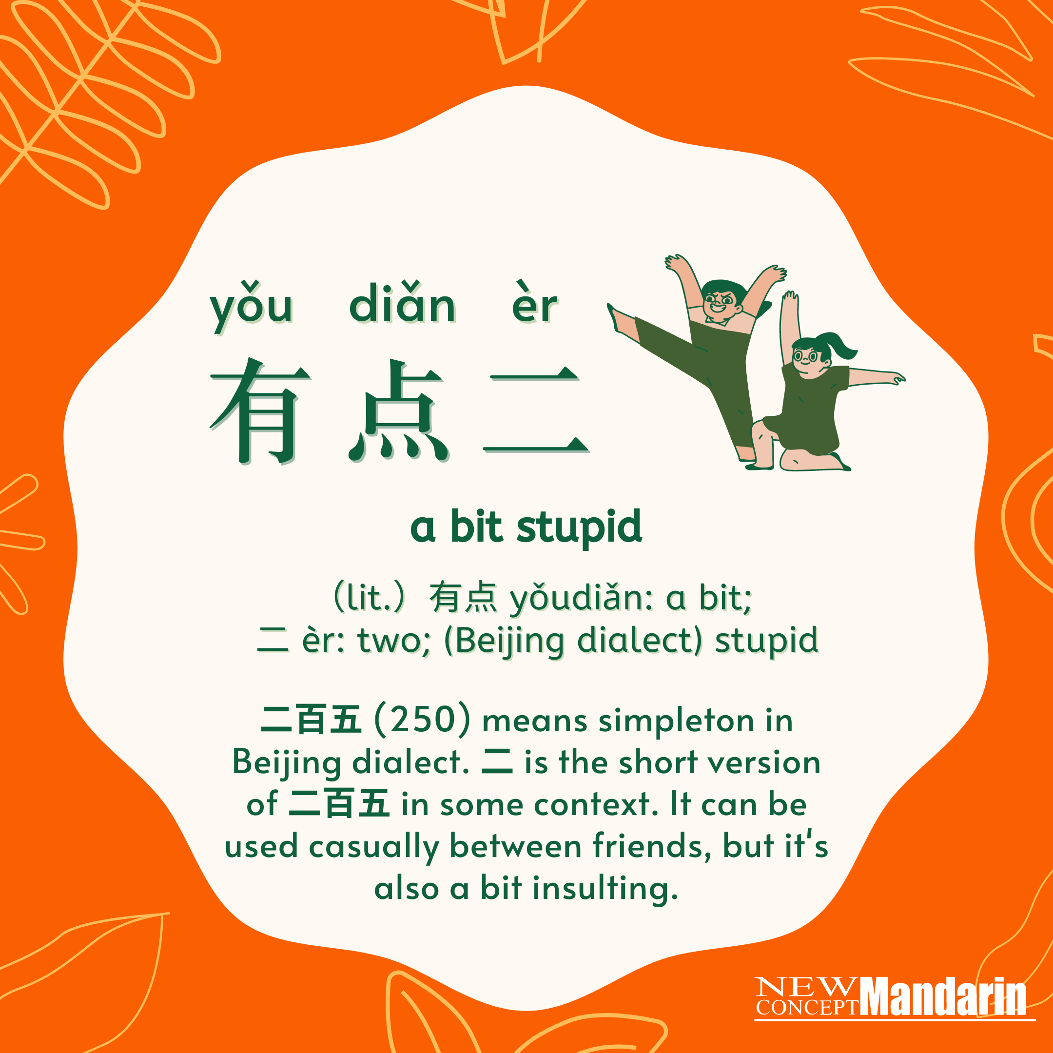 有点二 yǒudiǎn èr : a bit stupid. Chinese people usually avoid the number of 250, because 二百五(250) means simpleton in Beijing dialect. 二 is the short version of 二百五 in some context. It can be used casually between friends, but it's also a bit insulting.  