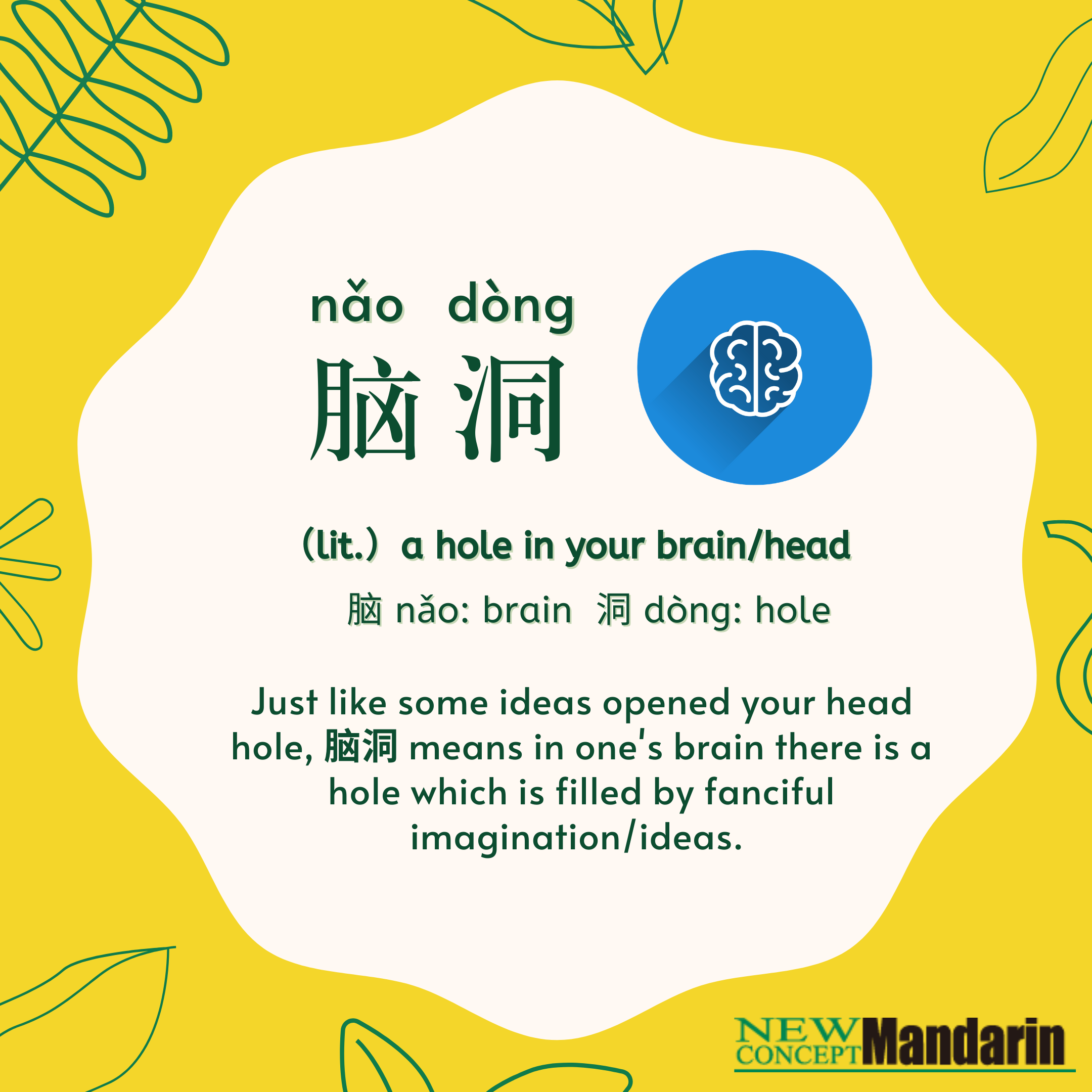 脑洞 nǎodòng: Just like some ideas opened your head hole, 脑洞 means in one's brain which is filled by fanciful imagination/ideas. Thus, the bigger one's nǎodòng is, the more imaginative a person is or has to be. 