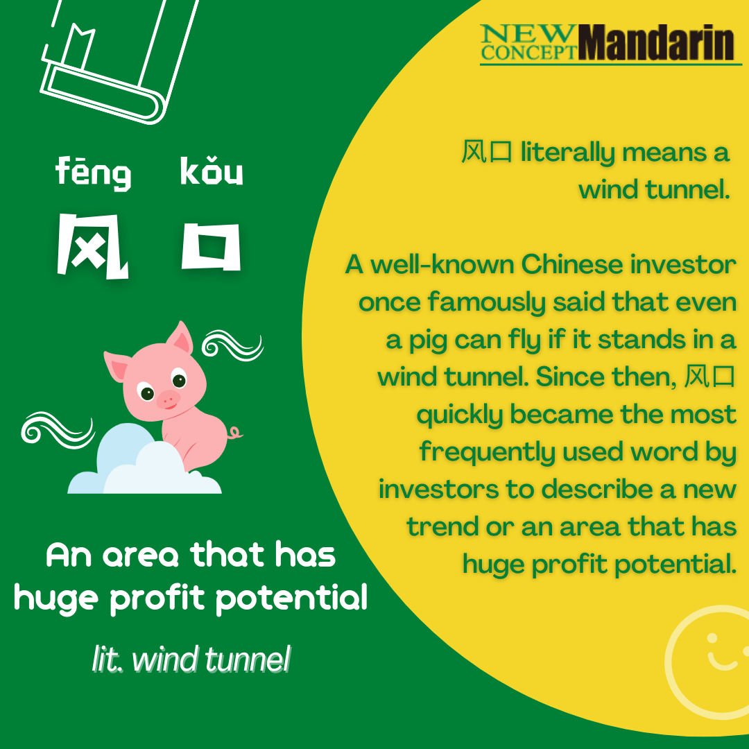 Fengkou fēng kǒu 风口 n. wind tunnel; an area or sector where, for a period of time, all investors want to invest in
Many attribute the popularity of the word to Xiaomi founder Lei Jun, who famously said that even a pig can fly if it stands in a wind tunnel. 站在风口上，猪都能飞起来。Zhàn zài fēngkǒu shàng zhū dōu néng fēi qǐlái. 